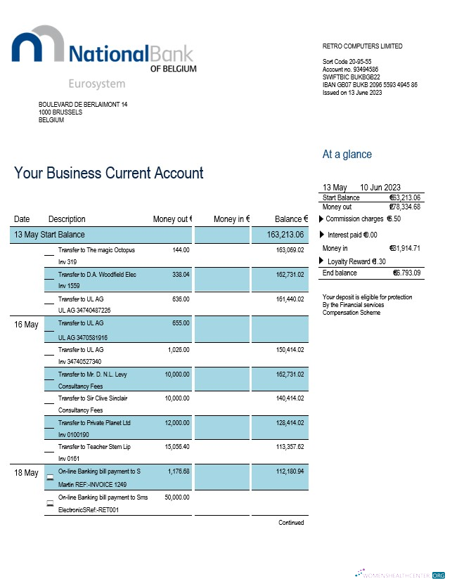 Download National Bank of Belgium enterprise statement Word and PDF template Photoshop template